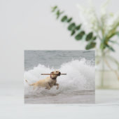 ラブラドール – 黄色 – 取りに行く！ ポストカード (スタンド正面)