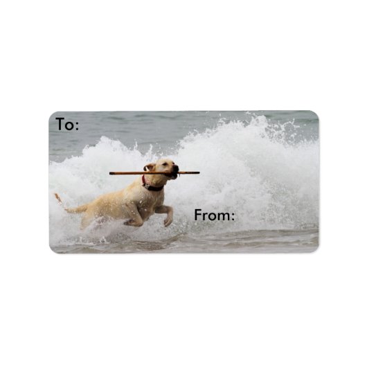 ラブラドール – 黄色 – 取りに行く！ ラベル (正面)