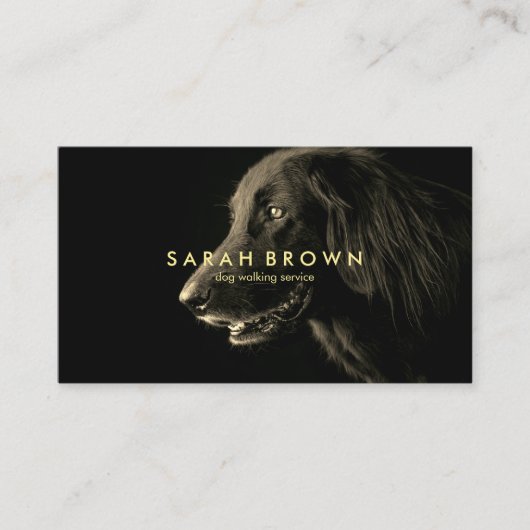 ラブラドール 黒い犬の散歩や世話、グルーミング 名刺 (正面)