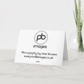 ラブラドール – 黒 シーズンカード (裏面)