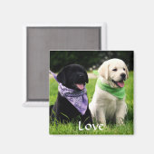 ラブラブラドールレトリエバーパピーズ冷蔵庫用マグネット マグネット (正面/裏面)