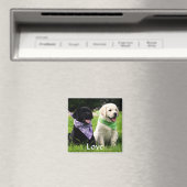 ラブラブラドールレトリエバーパピーズ冷蔵庫用マグネット マグネット (インサイチュ (食洗機))