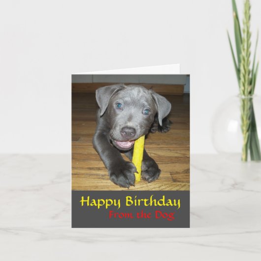 ラブラブル子犬愛犬家の誕生日カード カード (正面)