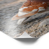 ラブラブ・ハト：紳士は赤毛を好む フォトプリント            (角)