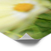 ラブリーイエローコスモス澄んブルースカイフラワーフィールド ポスター (角)