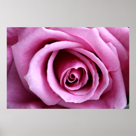 ラブリーイン薄紫 ポスター (正面)