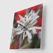 ラブリーエデルワイスレオントポジウムニヴェール スクエア壁時計 (傾斜)