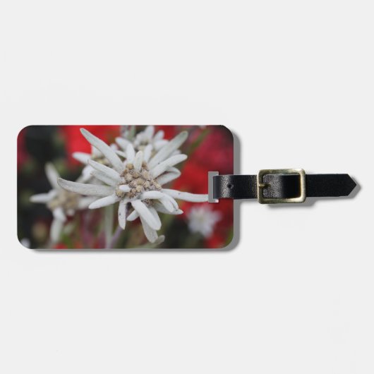 ラブリーエデルワイスレオントポジウムニヴェール ラゲッジタグ (正面横)