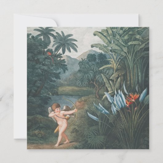 ラブリーエンジェルプリント、バリューポスター紙（マット）位置 (正面)