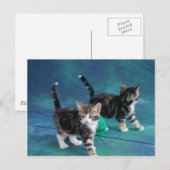 ラブリーキットン61 ポストカード (正面/裏面)