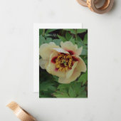 ラブリークリームイエローピーニー ノートカード (正面/裏面インサイチュ)