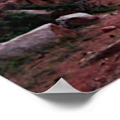 ラブリーコロラドマウンテントレイルポスター ポスター (角)