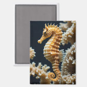 ラブリーシーホースとコーラルマグネット マグネット (正面/裏面)