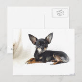 ラブリーチワホアハガキ ポストカード (正面/裏面)