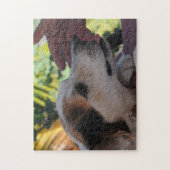 ラブリードッグとオー遊ナーの写真パズル ジグソーパズル (縦)