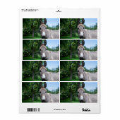 ラブリードンキーポートレート ラベル (フルシート)