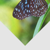 ラブリーバタフライアンドフラワーズティッシュペーパー 薄葉紙 (詳細)