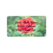 ラブリーバラ ラベル (正面)