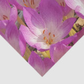 ラブリーパンクオータムクロキューズフローラ 薄葉紙 (詳細)