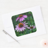 ラブリーパープルコンフォレアフローラ スクエアシール (封筒)