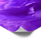 ラブリーパープルラズベリーフローラ ポスター (角)