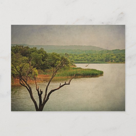 ラブリービューアットシダーヒルポストカード ポストカード (正面)