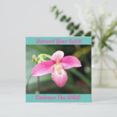 ラブリーピンクオーキッド (スタンド正面)