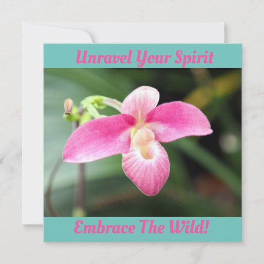 ラブリーピンクオーキッド (正面)