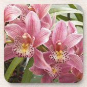 ラブリーピンクシンビジウムオーキズフローラ コースター (正面)