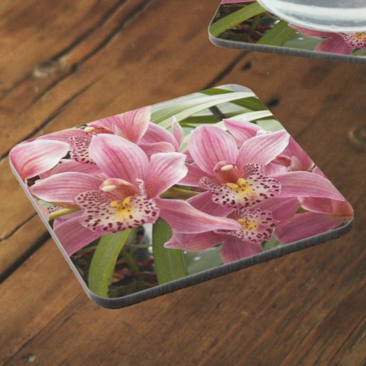 ラブリーピンクシンビジウムオーキズフローラ コースター