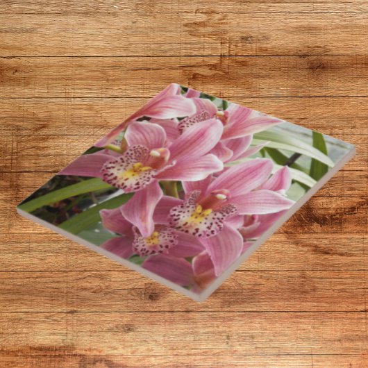 ラブリーピンクシンビジウムオーキズフローラ タイル