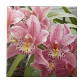 ラブリーピンクシンビジウムオーキズフローラ タイル (正面)