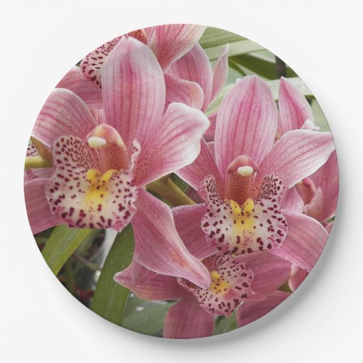 ラブリーピンクシンビジウムオーキズフローラ ペーパープレート (正面)
