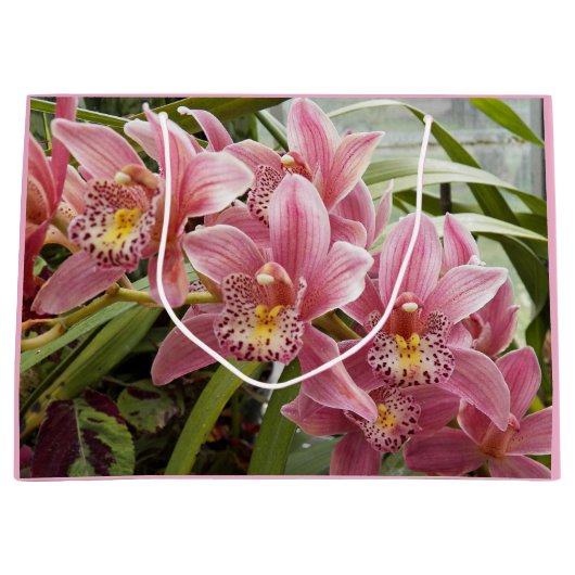 ラブリーピンクシンビジウムオーキズフローラ ラージペーパーバッグ (正面)