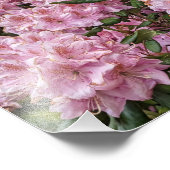 ラブリーピンクロードデンドロンフローラ フォトプリント            (角)
