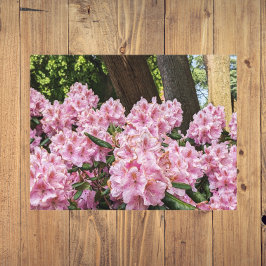 ラブリーピンクロードデンドロンフローラ メタルプリント