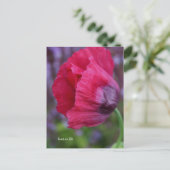 ラブリーピンク&パープルポピー ポストカード (スタンド正面)