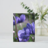 ラブリーブルーアネモネス ポストカード (スタンド正面)