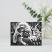 ラブリープレイフルモップ ポストカード (スタンド正面)