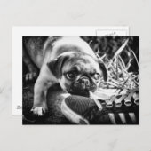 ラブリープレイフルモップ ポストカード (正面/裏面)