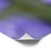 ラブリーベルフラワーカンパヌラ ポスター (コーナー)