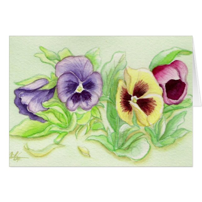 ラブリーペンシー (正面横)