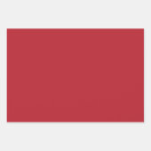 ラブリーホリデーオーナメントパターンと一致するソリッド ラッピングペーパーシート (正面2)