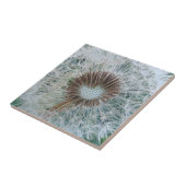 ラブリーホワイトダンデロン タイル (側面)