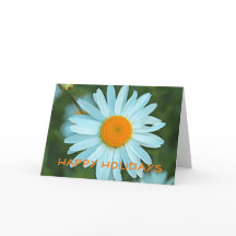 ラブリーホワイトデイジーフラワーハッピー