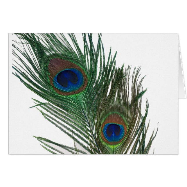 ラブリーホワイトピーコックフェザー (正面横)