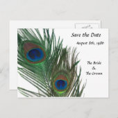 ラブリーホワイトピーコック日付を保存 案内ポストカード (正面/裏面)