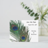 ラブリーホワイトピーコック日付を保存 案内ポストカード (スタンド正面)