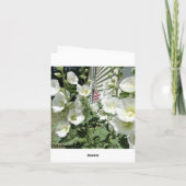 ラブリーホワイトホライホックス、悔やみや弔慰 カード (裏面)