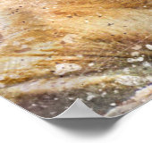 ラブリーライオネス写真モダン水彩画 ポスター (角)